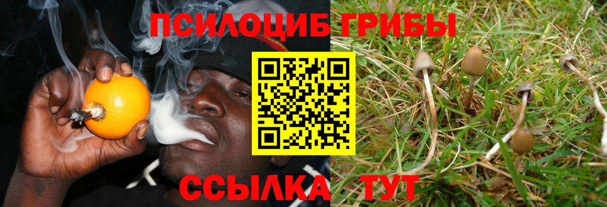 Галлюциногенные грибы Psilocybine cubensis  Вход с VPN  Галлюциногенные грибы мухоморы  Костомукша 
